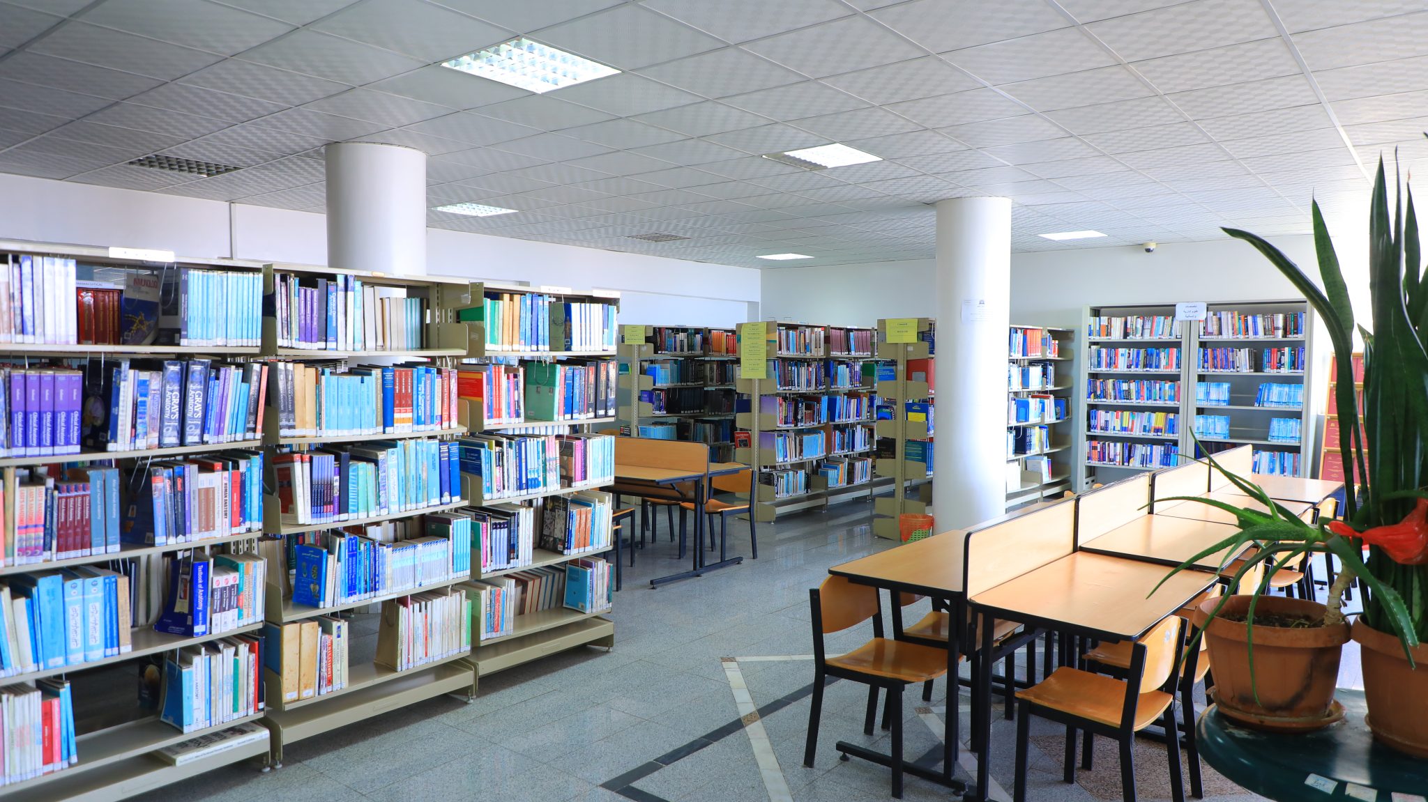 Library reading area for male students