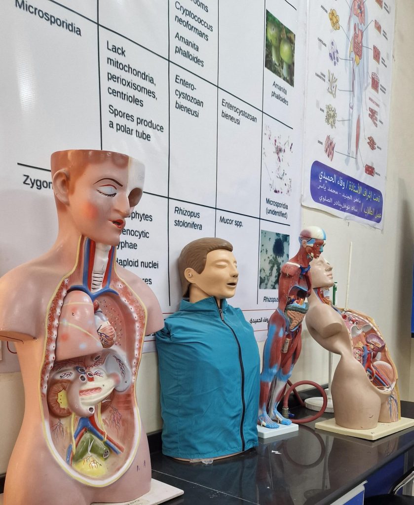 الطب والعلوم الصحية