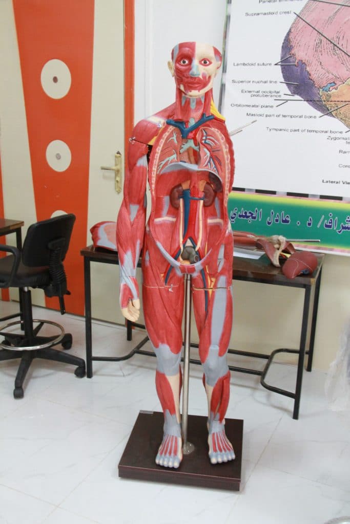 جامعة العلوم والتكنولوجيا -