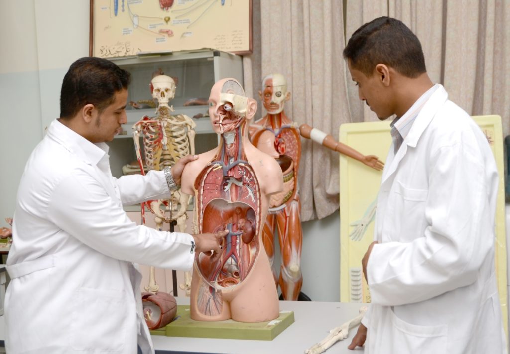جامعة العلوم والتكنولوجيا -